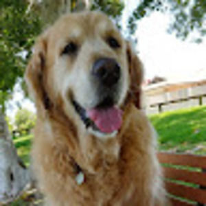 Meet your Posher, Sandy